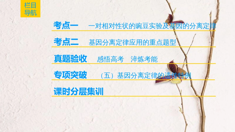 （全国版）2019版高考生物一轮复习 第5单元 遗传定律和伴性遗传 第1讲 孟德尔的豌豆杂交实验(一)课件_第2页