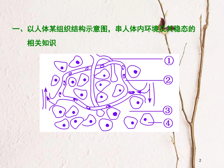 2019版高考生物一轮复习 第九单元 植物的激素调节单元综合精选课件_第2页