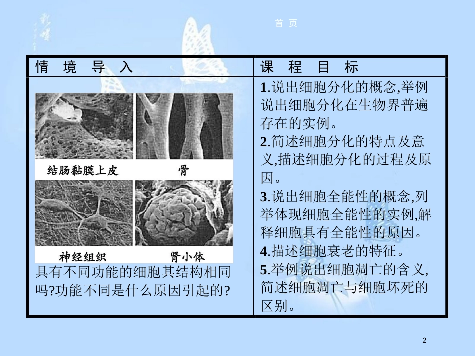 高中生物 第五章 细胞增殖、分化、衰老和凋亡 5.2 细胞分化、衰老和凋亡课件 苏教版必修1_第2页