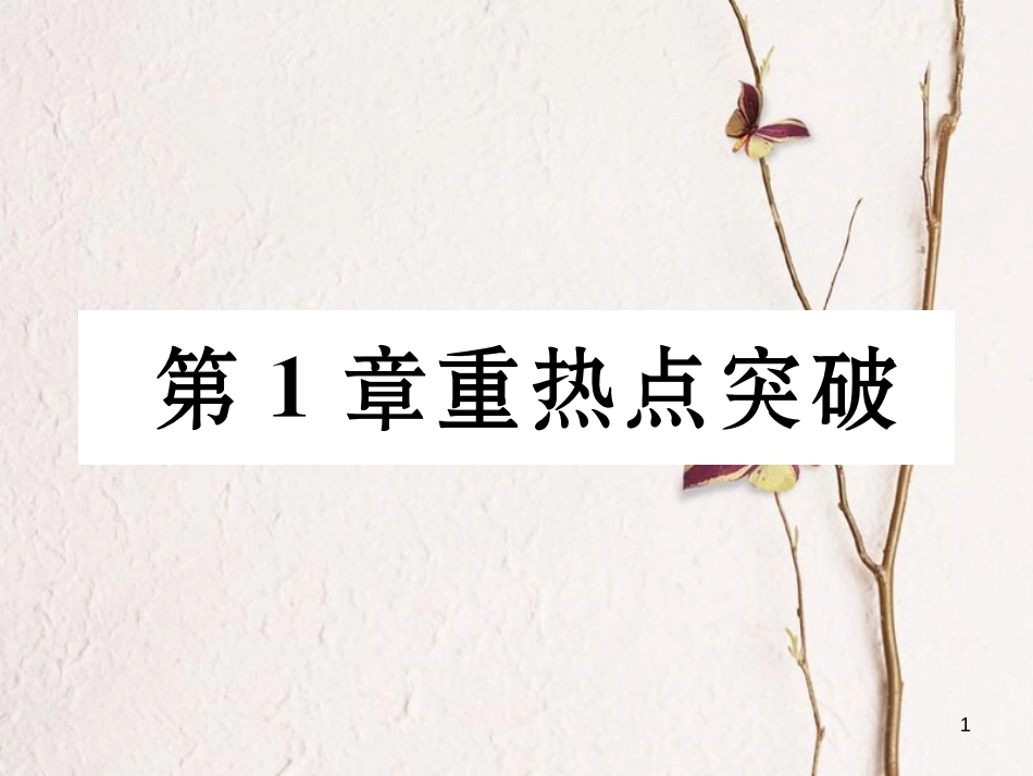 九年级数学下册 第1章 二次函数重热点突破作业课件 （新版）湘教版_第1页