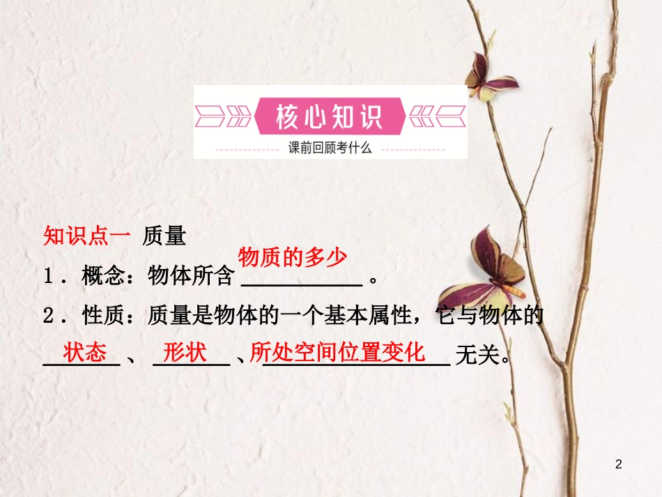 山东省滨州市中考物理总复习 第六章 质量与密度课件_第2页