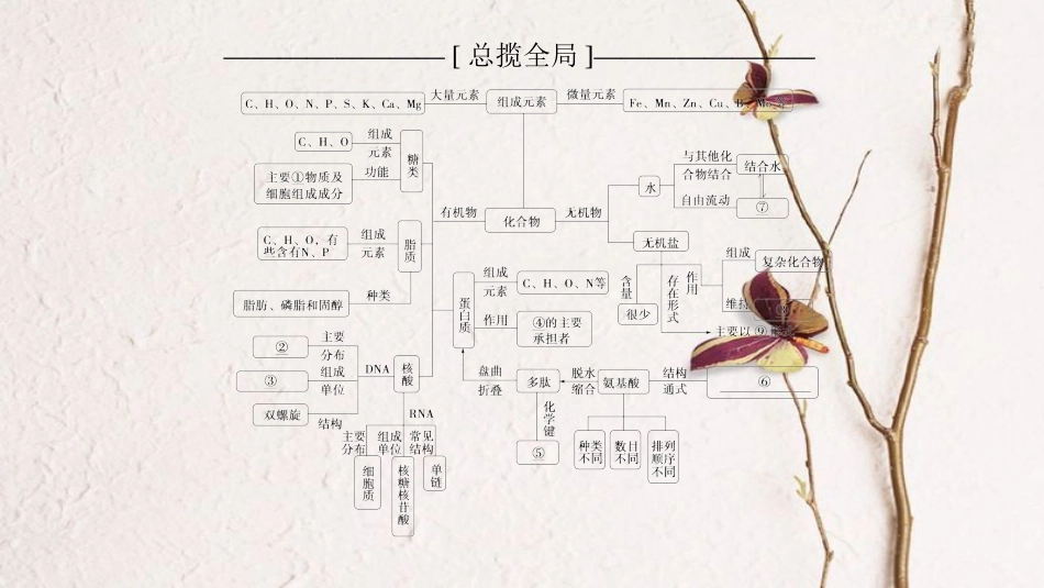 2019版高考生物一轮复习 第1单元 细胞的化学组成单元网络构建课件 苏教版_第2页