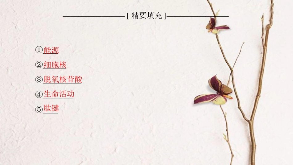 2019版高考生物一轮复习 第1单元 细胞的化学组成单元网络构建课件 苏教版_第3页