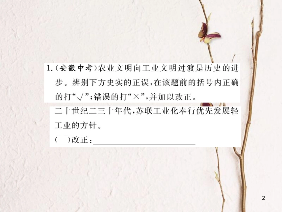 （安徽专版）九年级历史下册 第一单元 苏联社会主义的探索小结同步测试课件 新人教版_第2页