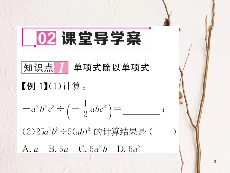 七年级数学下册 第1章 整式的乘除 1.7 整式的除法 第1课时 单项式除以单项式作业课件 （新版）北师大版_第3页