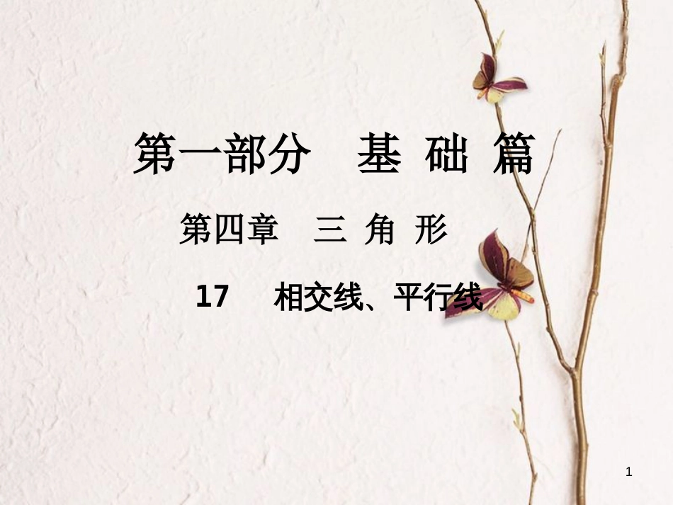 中考数学总复习 第一部分 基础篇 第四章 三角形 考点17 相交线、平行线课件_第1页