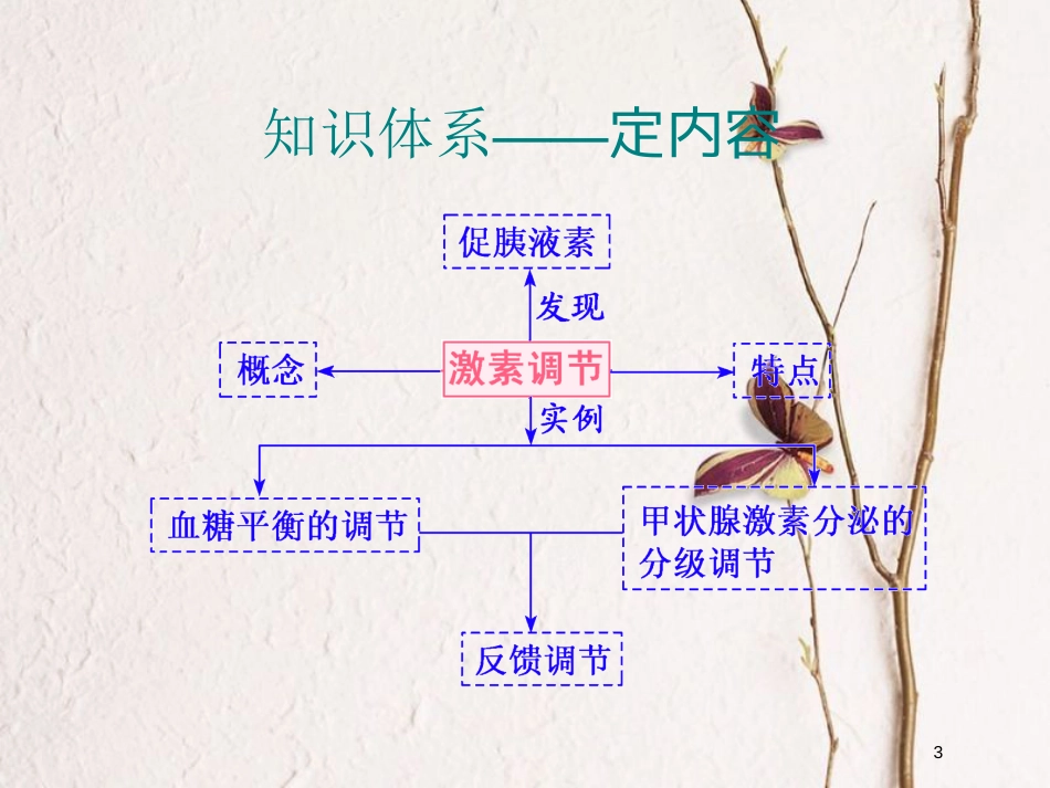2019版高考生物一轮复习 第八单元 动物和人体生命活动的调节 第三讲 通过激素的调节精选课件_第3页