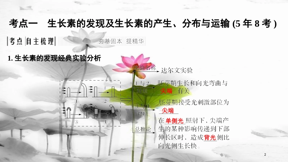 届高考生物一轮复习 第八单元 生命活动的调节 第27讲 植物的激素调节课件_第2页