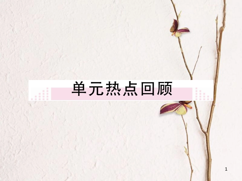 八年级历史下册 第二单元 向社会主义社会过渡热点回顾习题课件 岳麓版_第1页