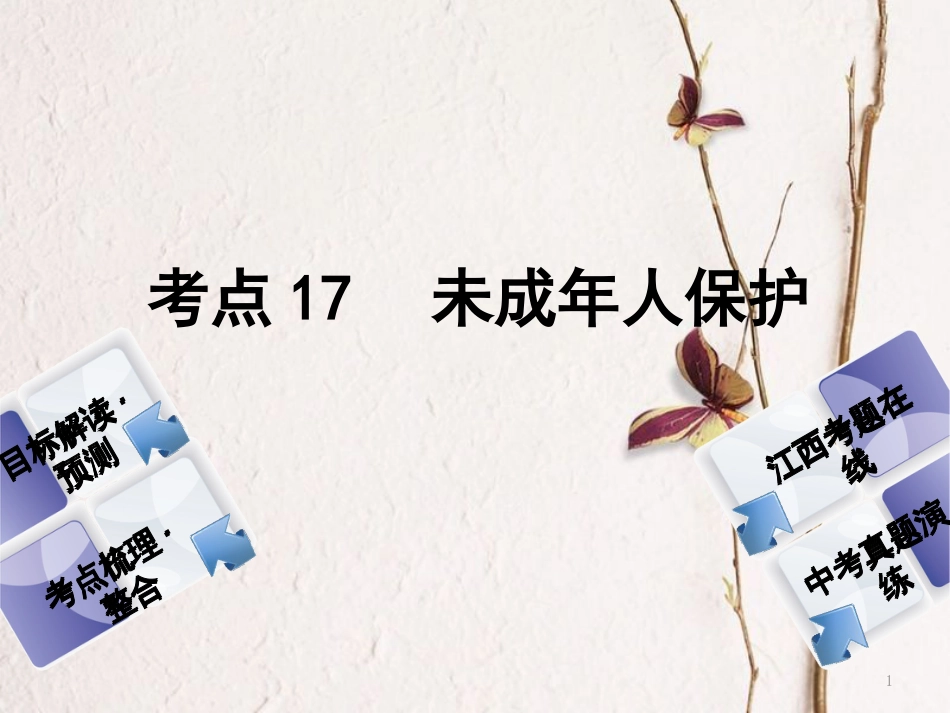 （江西专版）中考政治复习方案 第二单元 法律与秩序 考点17 未成年人保护教材梳理课件_第1页