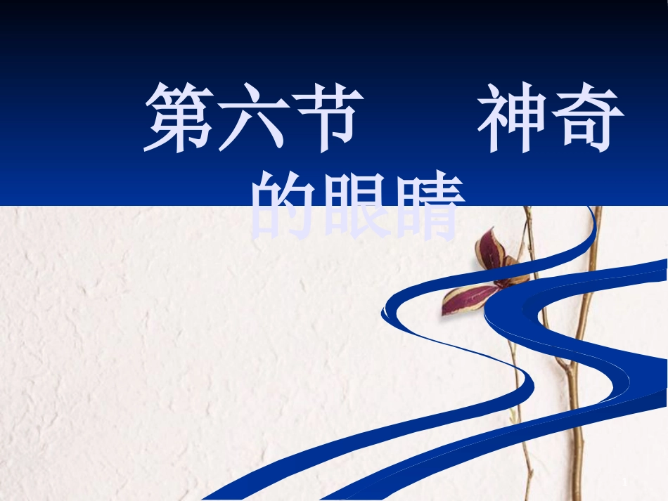 福建省浦城县八年级物理全册 4.6神奇的眼睛课件 （新版）沪科版_第1页