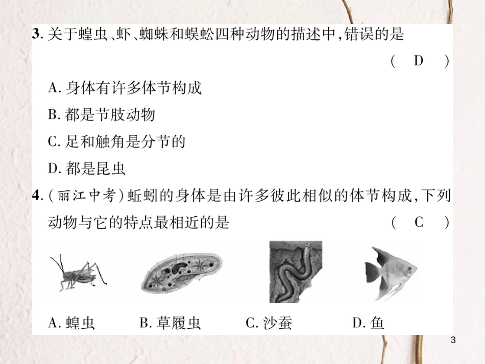 八年级生物上册 期末标测试课件一 （新版）新人教版_第3页