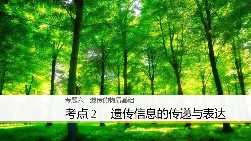 （浙江选考）高三生物二轮专题复习 专题六 遗传的物质基础 考点2 遗传信息的传递与表达课件 新人教版_第1页