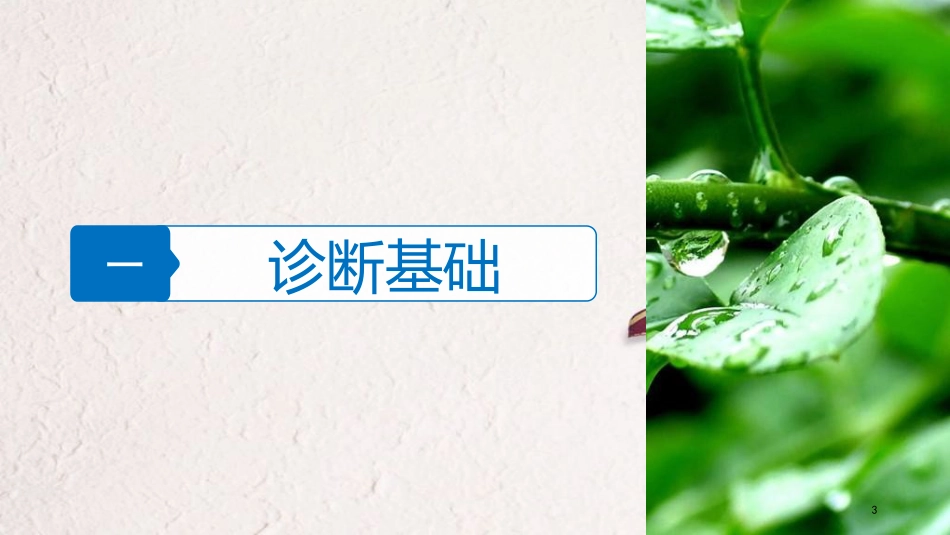（浙江选考）高三生物二轮专题复习 专题六 遗传的物质基础 考点2 遗传信息的传递与表达课件 新人教版_第3页