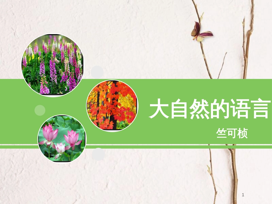 八年级语文下册 第二单元 第五课《大自然的语言》课件 新人教版_第1页