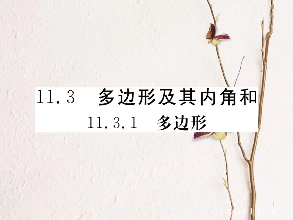 （贵州专用）八年级数学上册 11.3 多边形及其内角和 11.3.1 多边形课件 （新版）新人教版_第1页