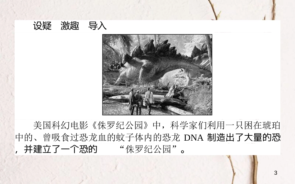 高中生物 第四章 基因的表达 4.1 基因指导蛋白质的合成课件 新人教版必修2_第3页