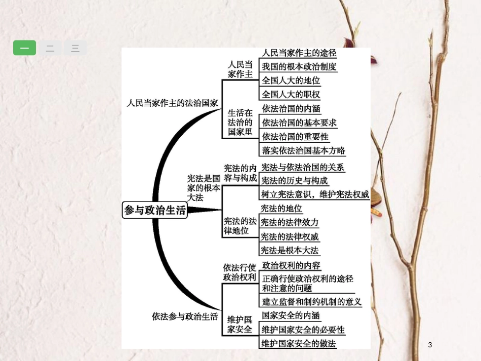 安徽省中考政治一轮复习 第一篇 知识方法固基 第五部分 九年级全一册 第三单元 融入社会 肩负使命 第六课 参与政治生活课件_第3页