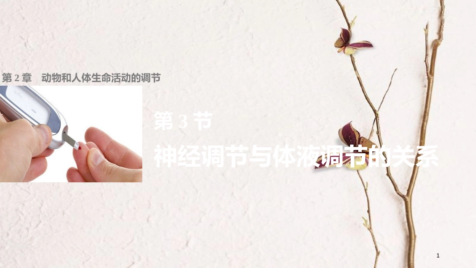 高中生物 第2章 动物和人体生命活动的调节 第3节 神经调节与体液调节的关系课件 新人教版必修3[共40页]_第1页