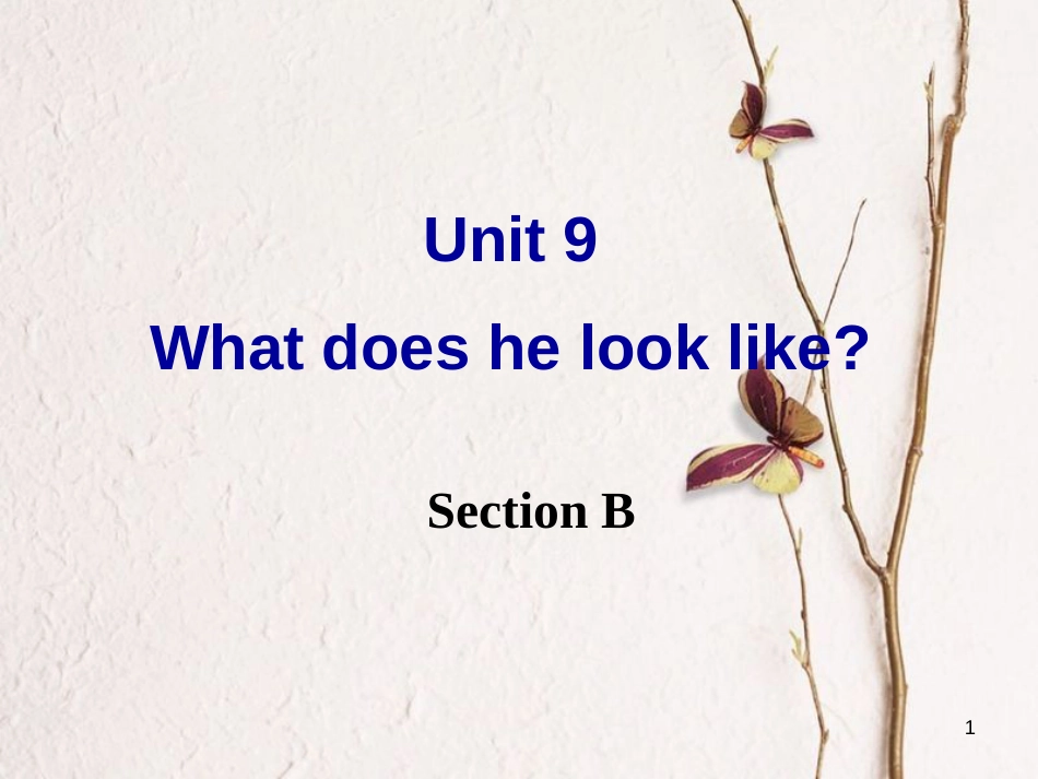 七年级英语下册 Unit 9 What does he look like Section B课件 （新版）人教新目标版_第1页