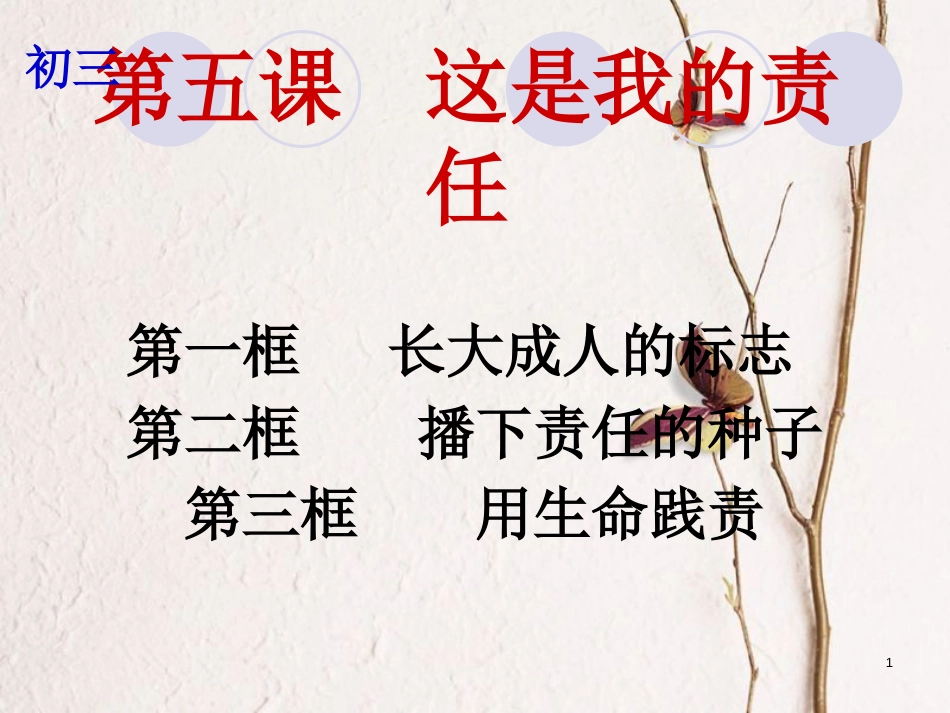 云南省个旧市九年级政治全册 第二单元 共同生活 第五课 这是我的责任 第1-3框 长大成人的标志 播下责任的种子 用生命践责课件 人民版_第1页