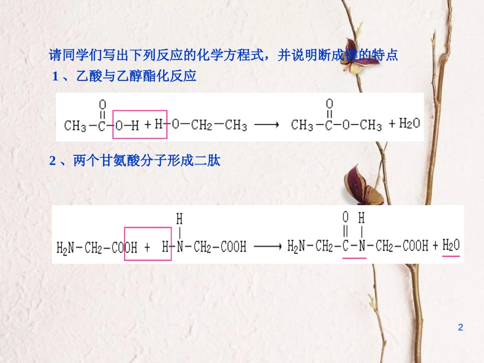 广东省中山市高中化学 第五章 进入合成有机高分子化合物的时代 5.1 合成高分子化合物的基本方法（第2课时）课件 新人教版选修5_第2页