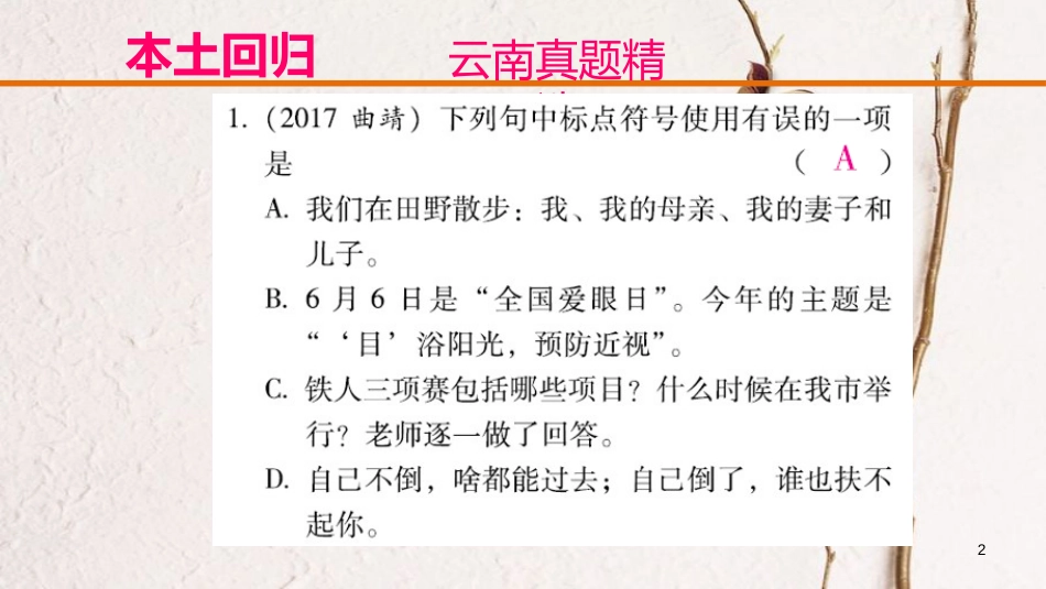云南省中考语文复习方案 第二部分 语文知识积累 专题五 标点符号课件_第2页