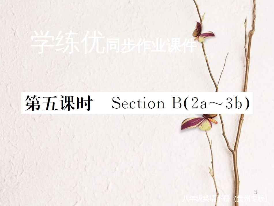 （贵州专版）八年级英语下册 Unit 5 What were you doing when the rainstorm came（第5课时）作业课件 （新版）人教新目标版_第1页