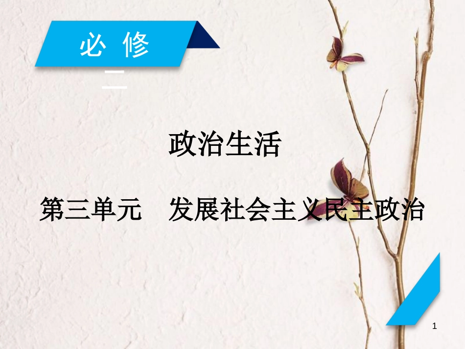 2019届高考政治一轮复习 第三单元 发展社会主义民主政治 第5课 我国的人民代表大会制度课件 新人教版必修2_第1页