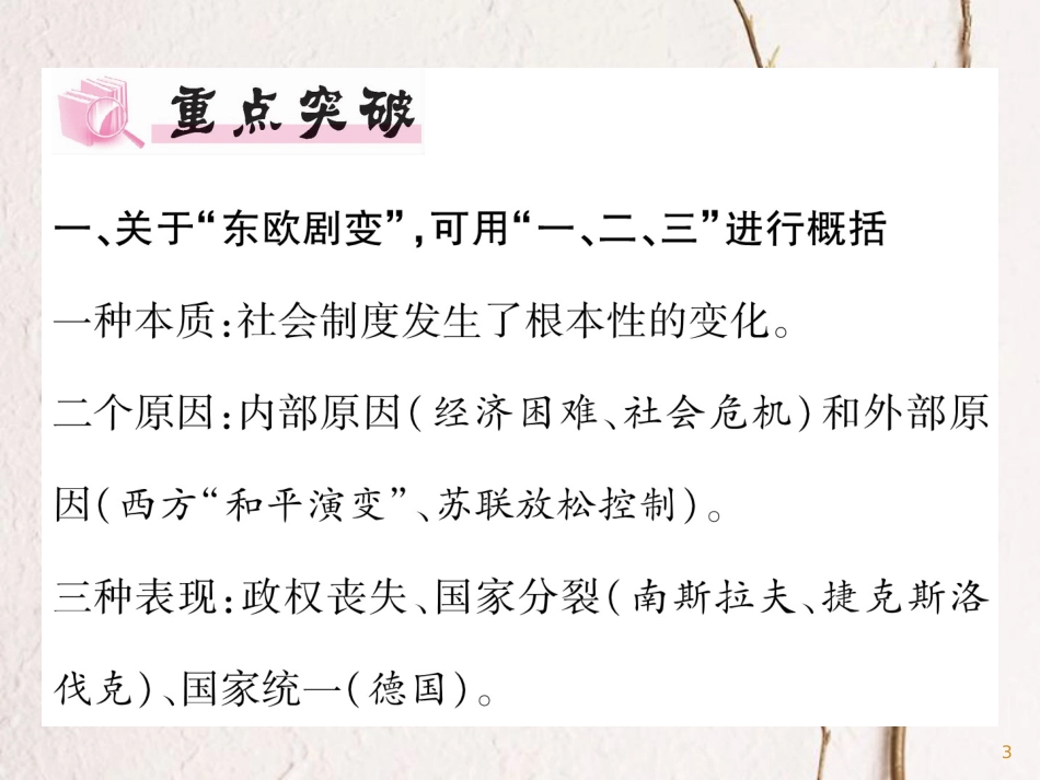 辽宁省法库县九年级历史下册第五、六单元专题复习课件新人教版_第3页