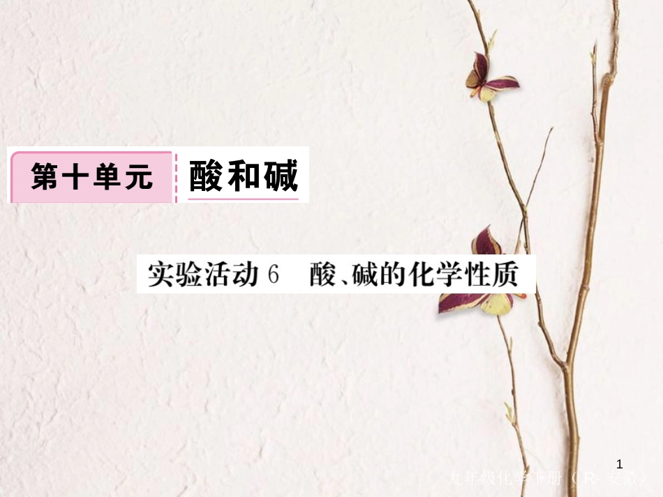 （安徽专版）九年级化学下册 10 酸和碱 实验活动6 酸、碱的化学性质练习课件 （新版）新人教版_第1页