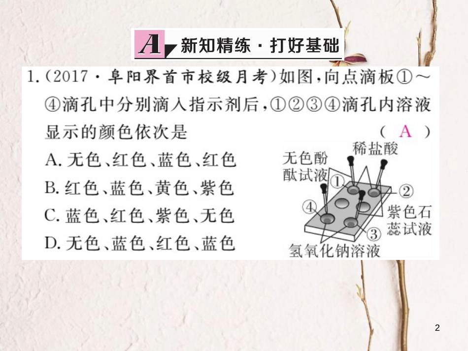 （安徽专版）九年级化学下册 10 酸和碱 实验活动6 酸、碱的化学性质练习课件 （新版）新人教版_第2页