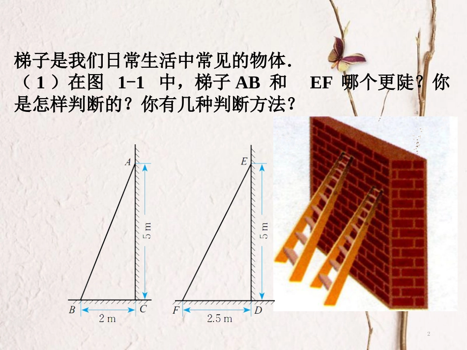 九年级数学下册 第一章 直角三角形的边角关系 1.1《锐角三角函数》课件1 （新版）北师大版_第2页