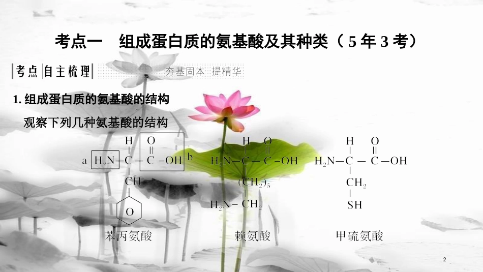 届高考生物一轮复习 第一单元 组成细胞的分子 第3讲 生命活动的主要承担者——蛋白质课件_第2页