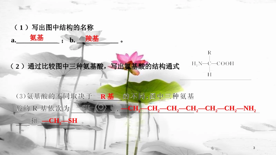 届高考生物一轮复习 第一单元 组成细胞的分子 第3讲 生命活动的主要承担者——蛋白质课件_第3页