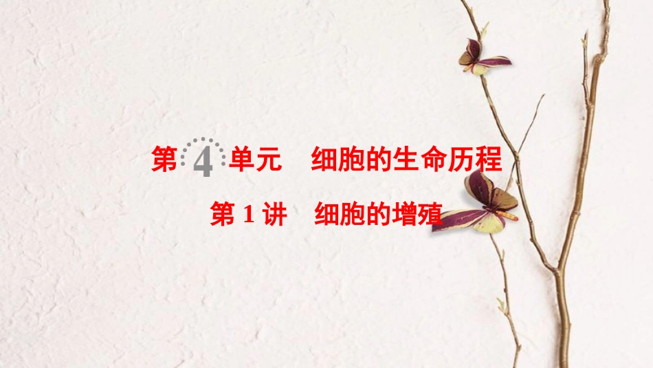 （全国版）2019版高考生物一轮复习 第4单元 细胞的生命历程 第1讲 细胞的增殖课件_第1页