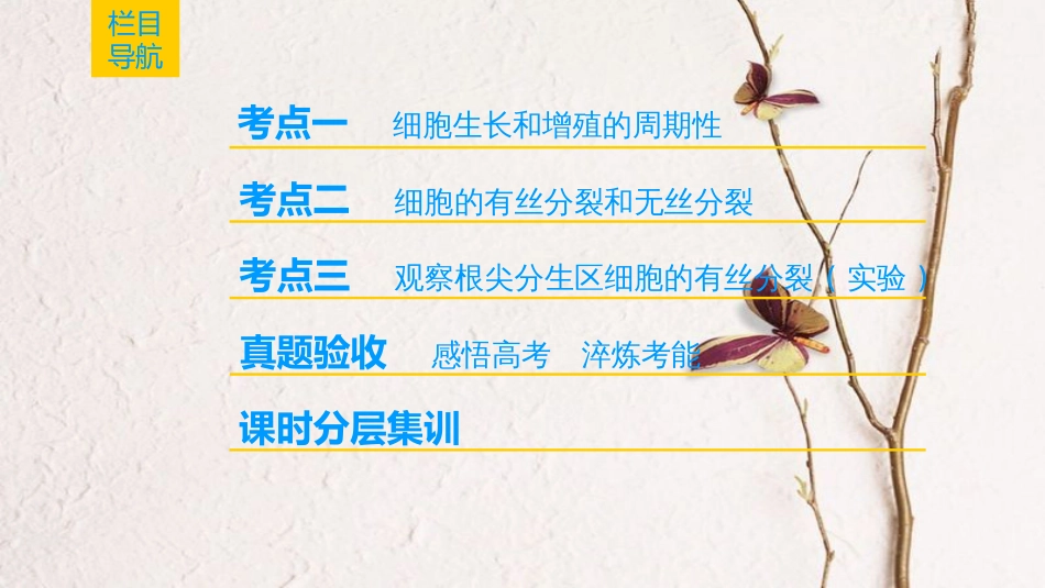 （全国版）2019版高考生物一轮复习 第4单元 细胞的生命历程 第1讲 细胞的增殖课件_第2页