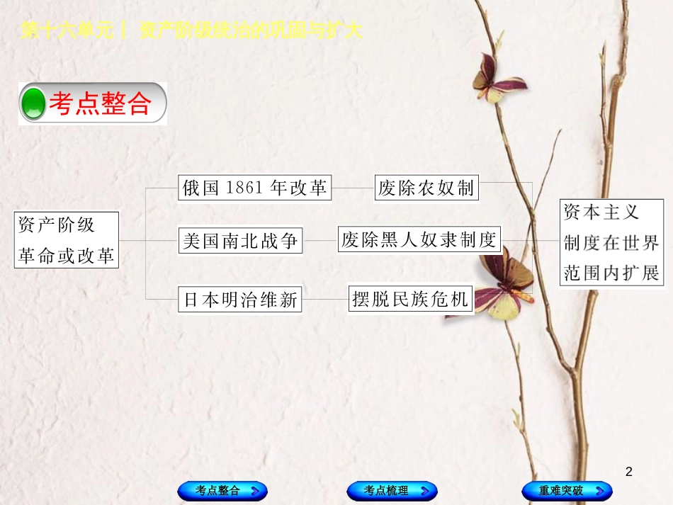 （包头专版）中考历史复习 第四部分 世界近代史 第十六单元 资产阶级统治的巩固与扩大课件_第2页