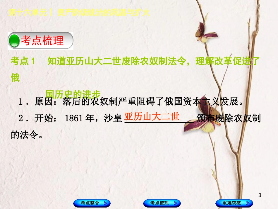 （包头专版）中考历史复习 第四部分 世界近代史 第十六单元 资产阶级统治的巩固与扩大课件_第3页