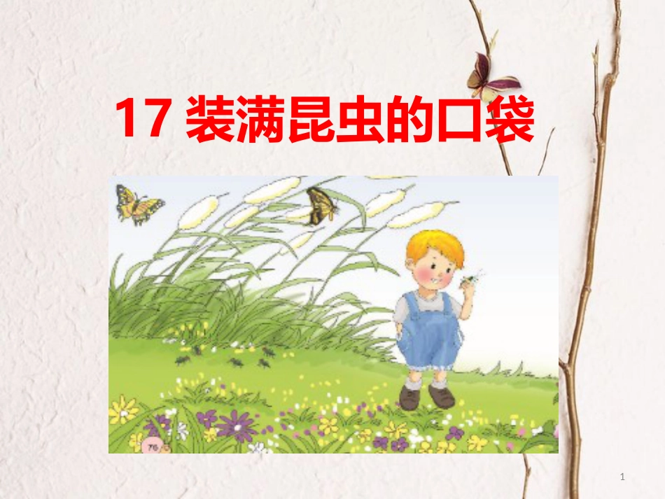 年二年级语文下册 课文4 17 装满昆虫的口袋课件 西师大版_第1页