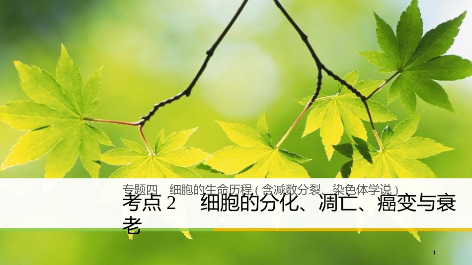 （浙江选考）高三生物二轮专题复习 专题四 细胞的生命历程（含减数分裂、染色体学说）考点2 细胞的分化、凋亡、癌变与衰老课件 新人教版_第1页