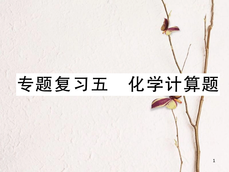 九年级化学下册 期末专题复习 专题复习5 化学计算题作业课件 （新版）新人教版_第1页