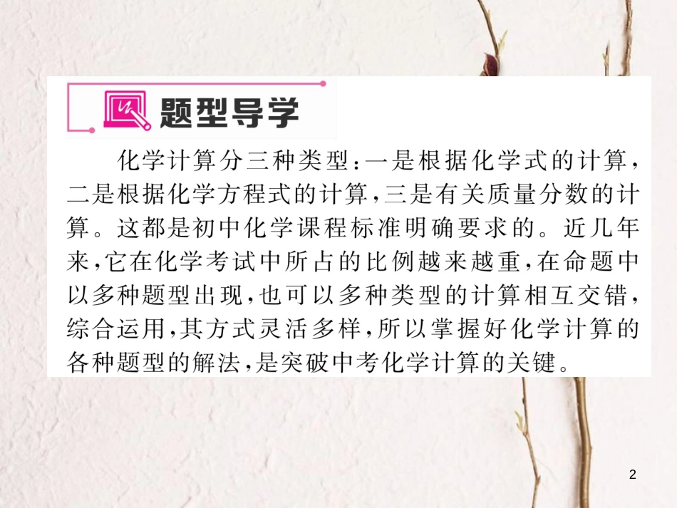 九年级化学下册 期末专题复习 专题复习5 化学计算题作业课件 （新版）新人教版_第2页