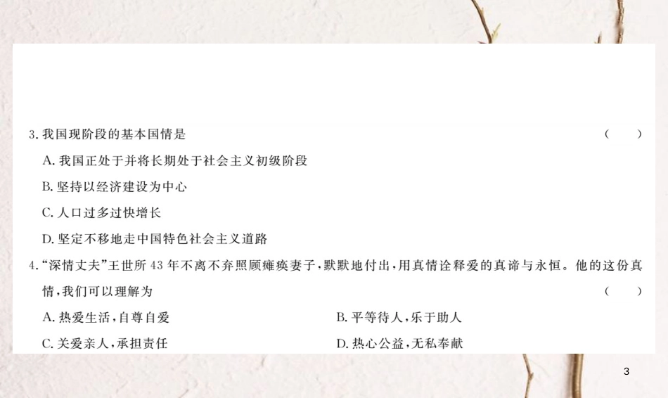 九年级政治全册 期末检测卷二课件 人民版_第3页