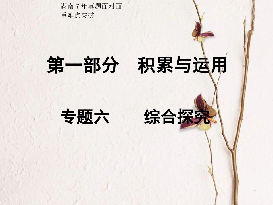 湖南省2018中考语文总复习 第一部分 积累与运用 专题六 综合探究课件_第1页