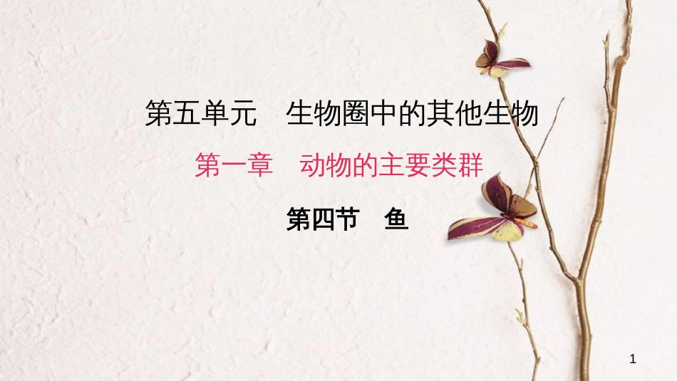 八年级生物上册 第五单元 第一章 第四节 鱼课件 （新版）新人教版_第1页