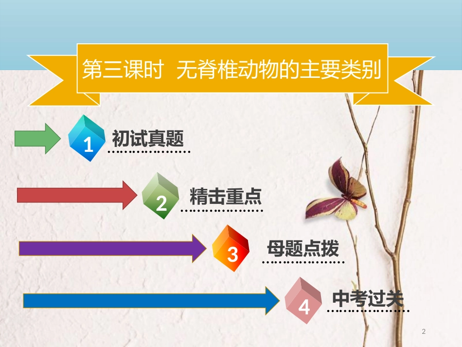 广东省中考生物 模块八 生物的多样性 第三课时 无脊椎动物的主要类别课件_第2页