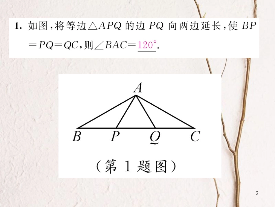 （毕节专版）八年级数学下册 第1章 三角形的证明 课题2 等边三角形的性质当堂检测课件 （新版）北师大版_第2页