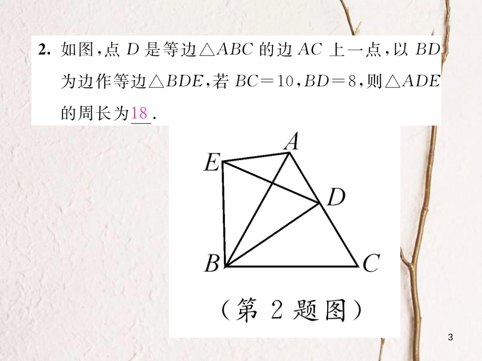 （毕节专版）八年级数学下册 第1章 三角形的证明 课题2 等边三角形的性质当堂检测课件 （新版）北师大版_第3页