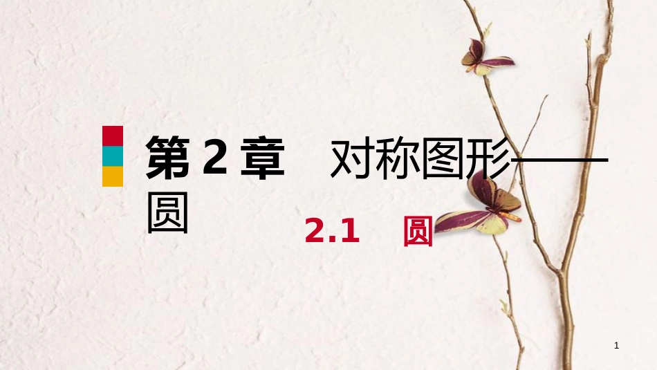 九年级数学上册 第2章 对称图形—圆 2.1 圆 第1课时 圆的概念、点和圆的位置关系导学课件 （新版）苏科版_第1页